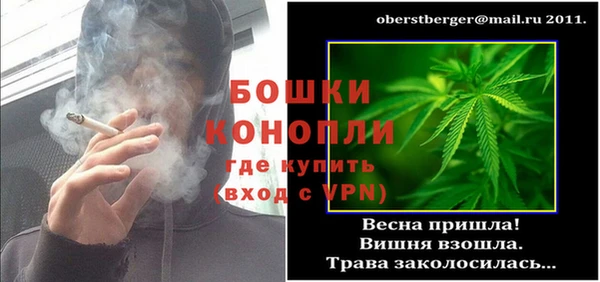 PSILOCYBIN Абаза