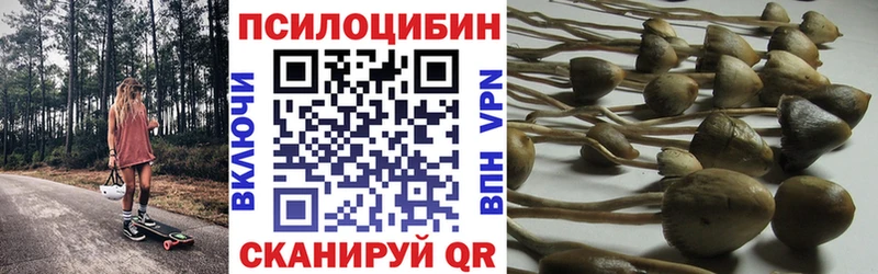 Галлюциногенные грибы ЛСД  Кисловодск 